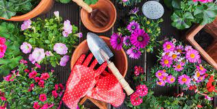 GARDENING TOOLS AND ACCESSORIES